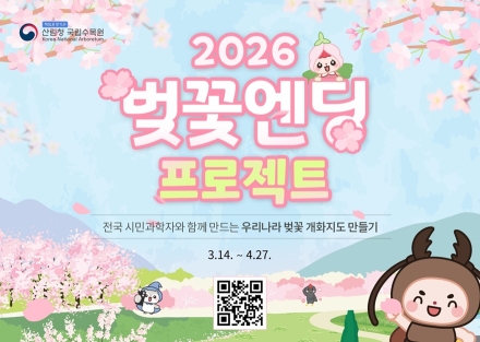 산림청, 시민참여 '벚꽃엔딩 프로젝트' 운영...벚꽃 4월 7일 만개 예측