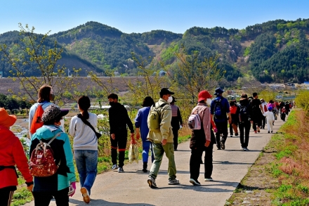 설악산 자락 서면, 주민이 만드는 첫 산나물 축제 4월 18일 개최