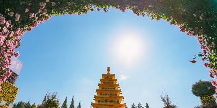 익산 천만송이 국화축제 23일 개막…중앙체육공원서 11월 1일까지