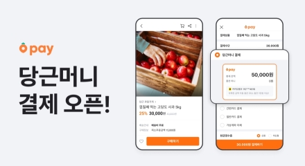 당근 광고캐시, 11월 5일부터 당근머니로 충전…자동충전 결제수단 확대